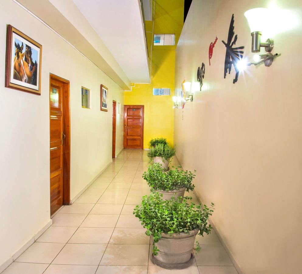 Hotel Colon Plaza Ica Ngoại thất bức ảnh
